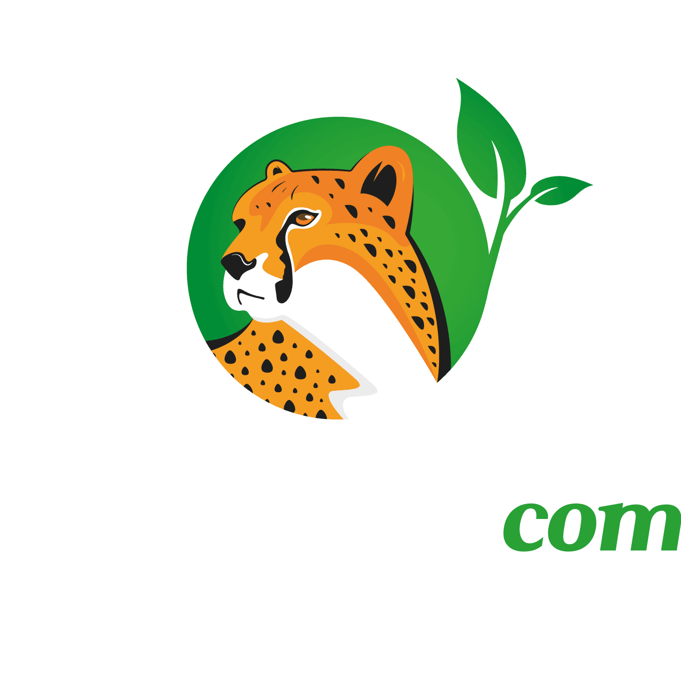 elmomedia